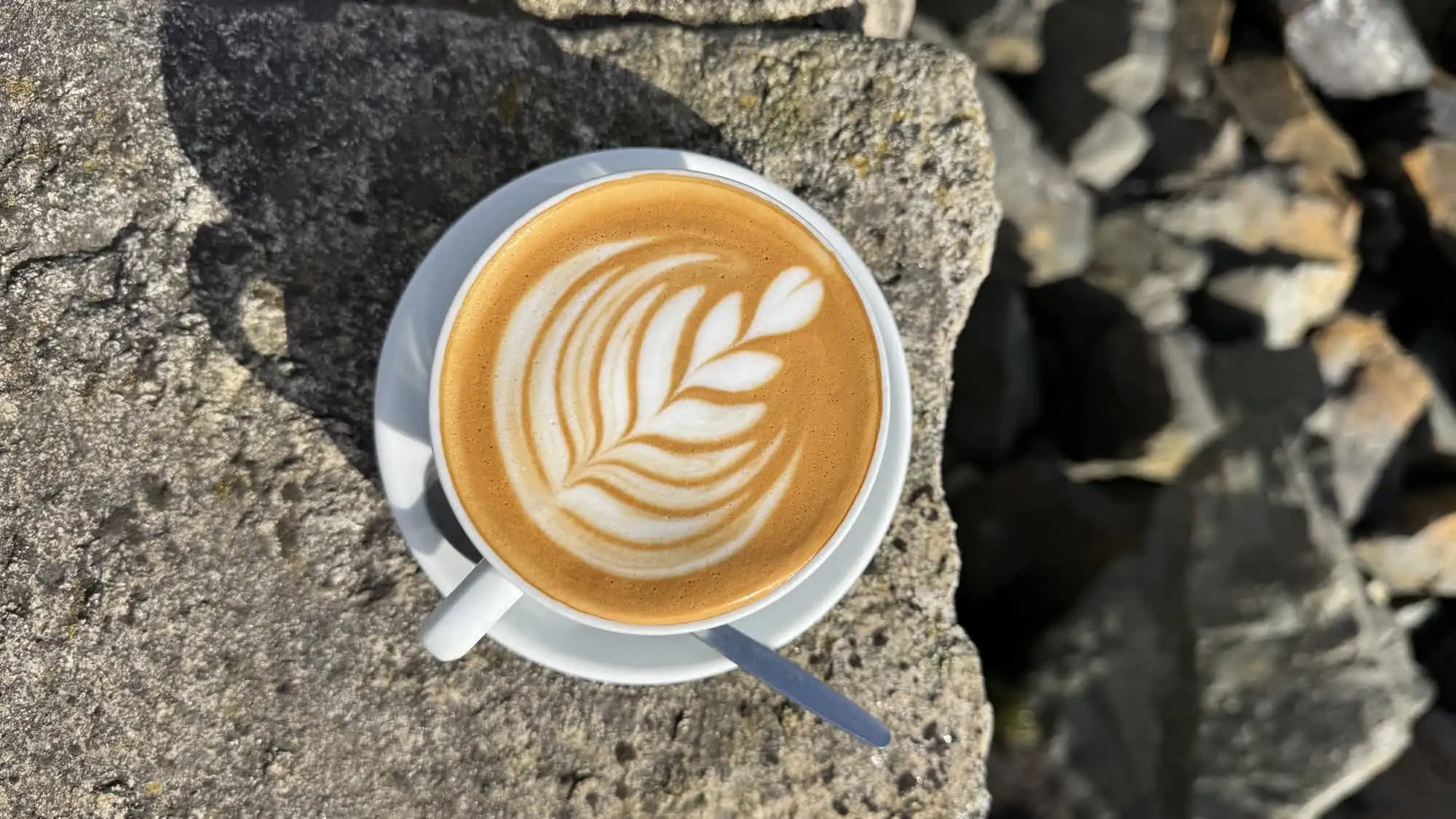 Latte with leaf art on the rocks by the harbour