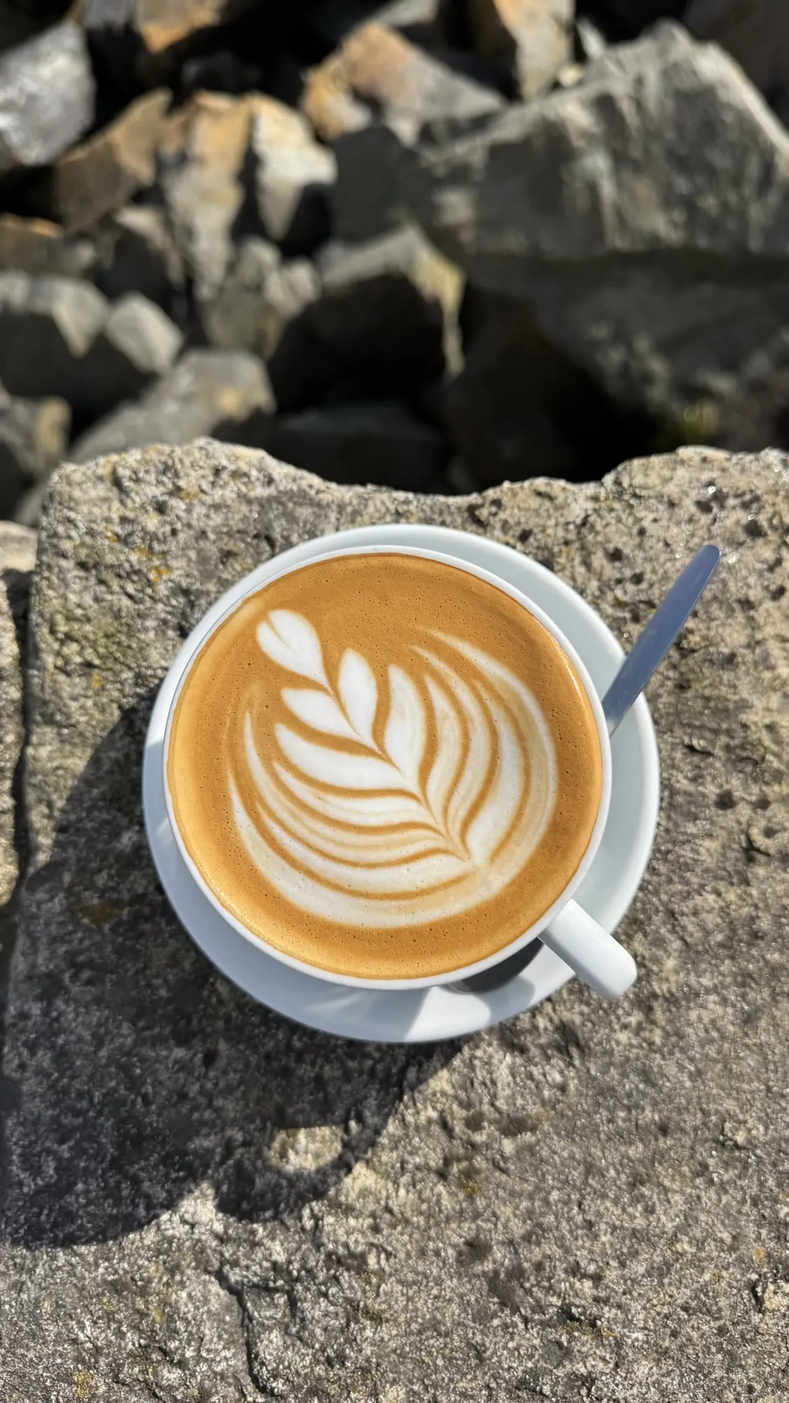 Latte with leaf art on the rocks by the harbour