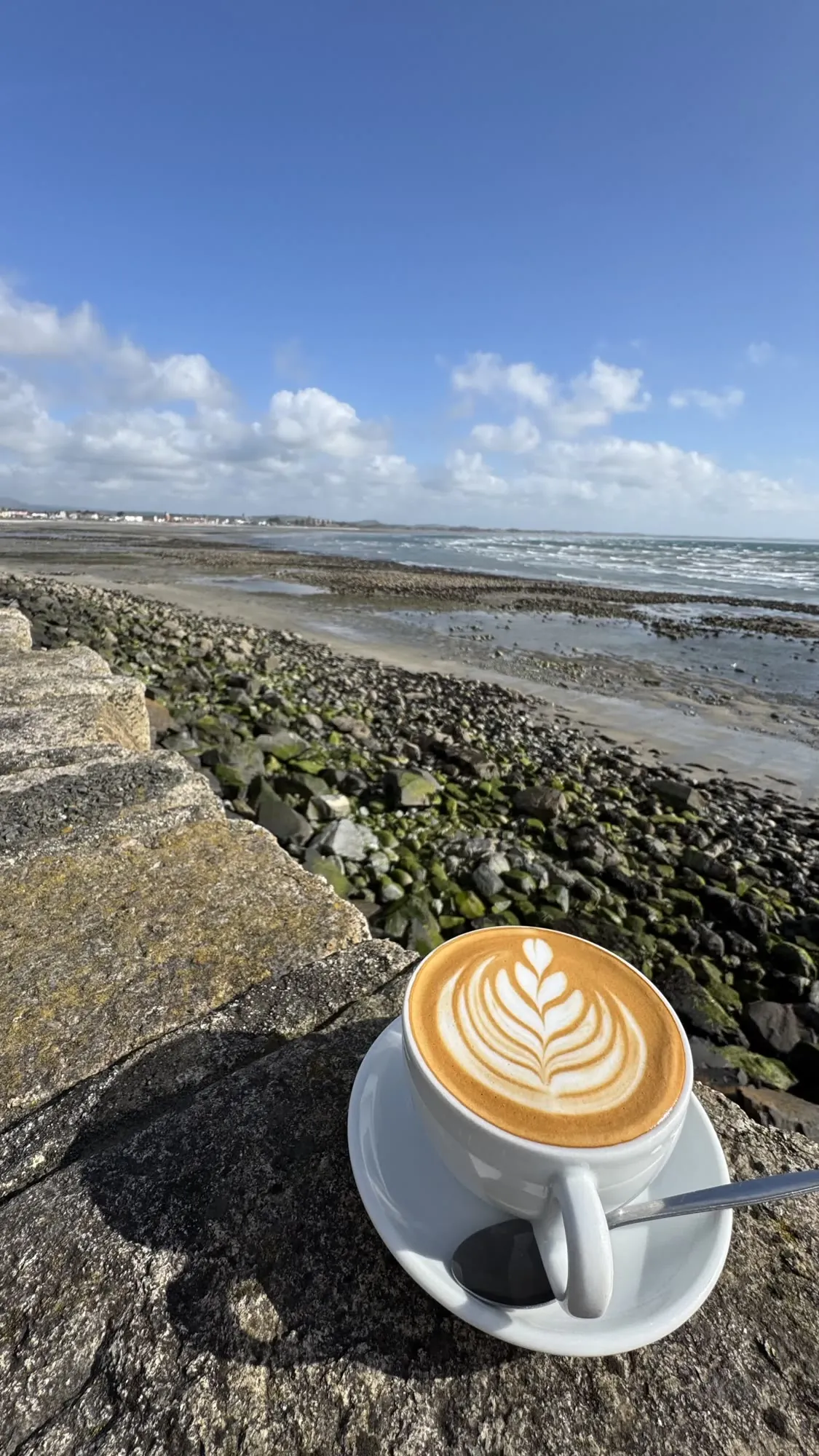 Latte on the sea wall, looking along the beach